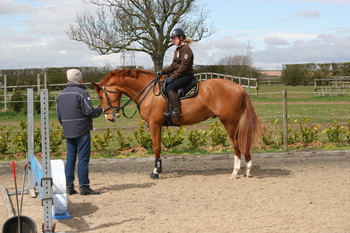 Young Horse Training with Andrew Saywell - 7 August